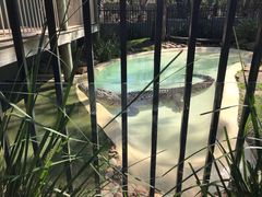 -费瑟代尔野生动物园