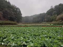 -韶山毛泽东同志故居