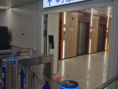 -首都医科大学附属北京地坛医院
