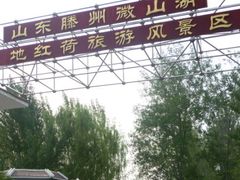 -微山湖红荷湿地景区