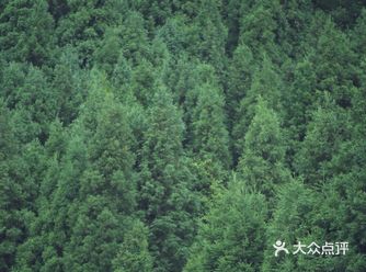 地理位置：窑湾森林公园  出游时间：7月3号