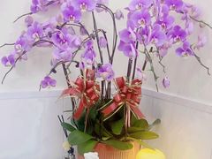 -人民广场-地下停车场