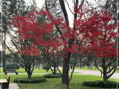 -唐城墙遗址公园