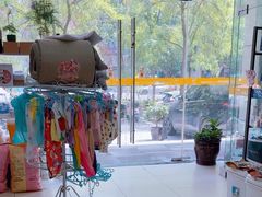 -米苏动物医院·犬猫专科·骨科外科内窥镜