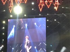 -南京奥林匹克体育中心-体育馆