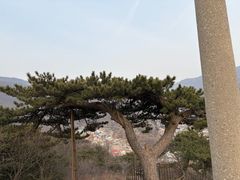 -妙峰山风景名胜区