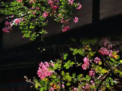 -都江堰景区