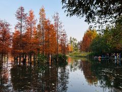 -白鹭湾湿地公园