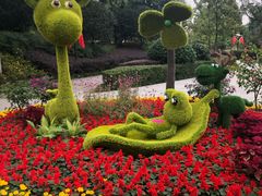 -成飞公园