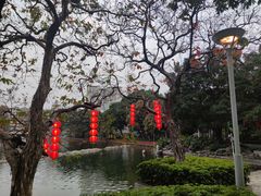 -荔湾湖公园