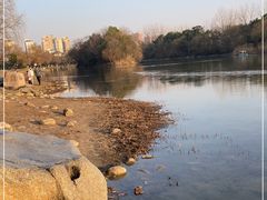 -合肥生态公园
