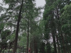 -四川大学(望江校区)
