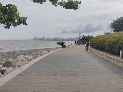 -深圳湾公园(南山区)