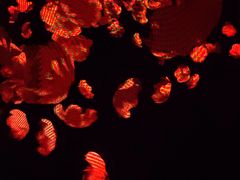 -交通银行前滩31演艺中心