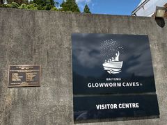 -怀托摩萤火虫洞