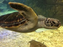 -成都浩海立方海洋公园