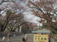-名古屋城
