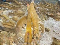 -领鲜活海鲜榴莲自助火锅(东门店)