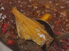 -黄潇洒老火锅(九眼桥宏济巷店)