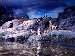 -暹罗海洋世界