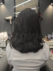 -藤野造型