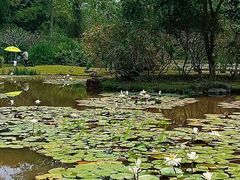 -中国科学院西双版纳热带植物园