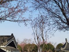 -武汉紫薇都市田园