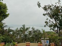 -仙人山公园