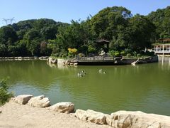 -广州市帽峰山景区