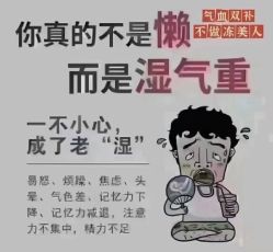 点击看大图 -香薇妮丝女子减肥院