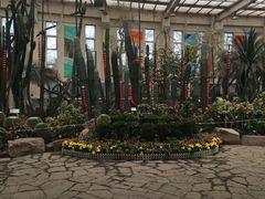 -石家庄市植物园