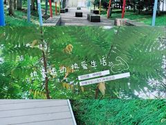 -长白岛森林公园