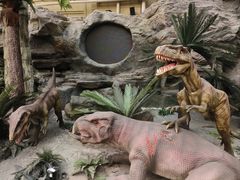 -国家自然博物馆