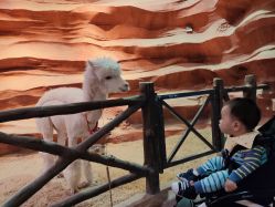 -酷嗒动物文化乐园(cutezoo西溪乐天城店)