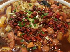 -紫光园·烤鸭(吕家营店)