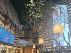 -桂满陇·海市蜃楼·黑金(国金店)