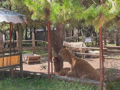 -猎鹰谷实弹射击俱乐部