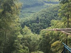 -宁波浙东大竹海景区