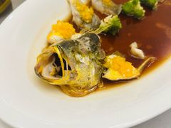 -便宜坊烤鸭店(科创店)