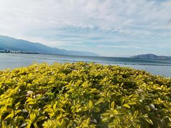 -丽江泸沽湖景区-里格半岛