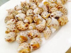 花螺-巽寮印象美食部落餐厅·海鲜·地方特色菜(惠州体验店)