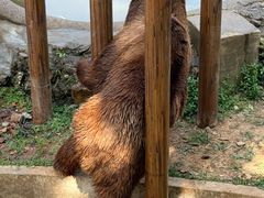 -无锡动物园·太湖欢乐园