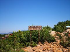 -杨梅坑