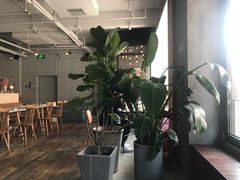 大堂-the rug 飞毯 (朝阳公园店)