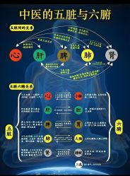 -雅曼妮spa美容养生