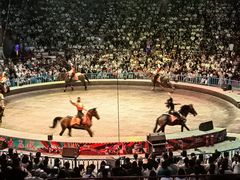 -俄罗斯国家大马戏团