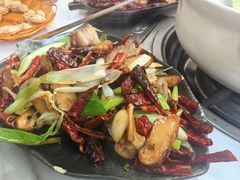 -蘑统田下·野生菌火锅