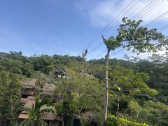 -海南槟榔谷黎苗文化旅游区