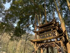 -青城山