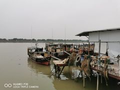 -大湾区中央湿地公园-十九涌